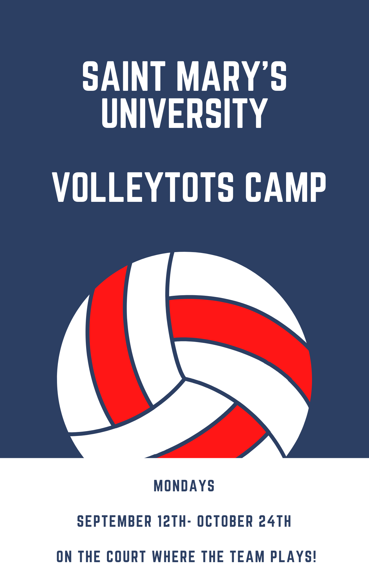 Pink and Turquoise Illustrated Volleyball Sports Flyer (1)