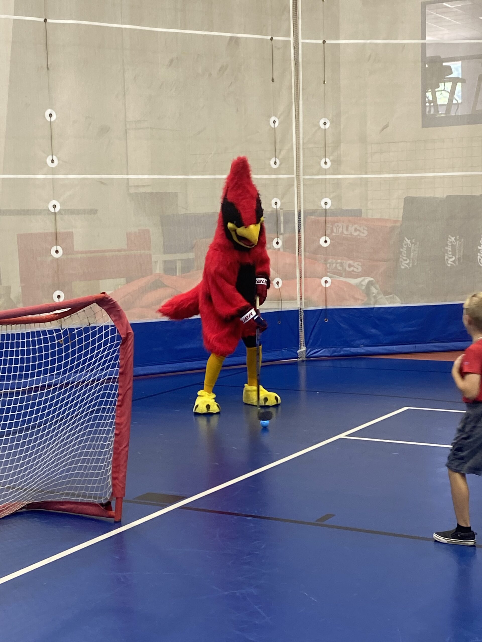 cardinal 2